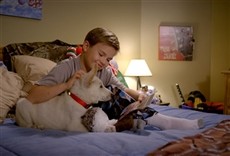 Escena de Navidad para Belle