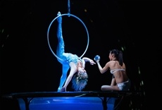 Televisión A Day in Cirque Du Soleil