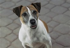 Escena de A.R.C.H.I.E.