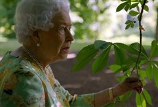 Serie A rainha Elizabeth e o jardim de Buckingham