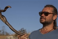 Escena de África Animal