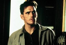 Escena de Albino Alligator