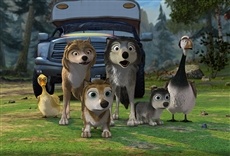 Escena de Alfa y Omega: Vacaciones en familia