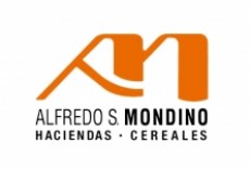 Televisión Alfredo S. Mondino - Especial Angus de Élite