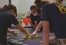 Escena de Alto! Frontera