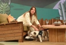 Televisión Amores perros
