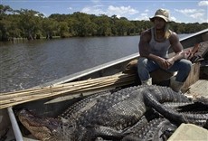 Escena de Amos del pantano