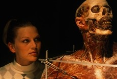 Escena de Anatomía