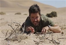 Escena de Animal y genial