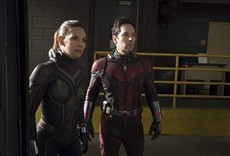 Escena de Ant Man y la avispa