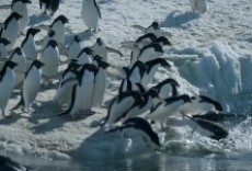 Televisión Antártida, desafío polar