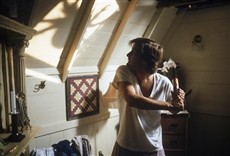 Escena de Aracnofobia