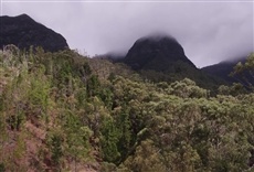 Escena de Archipiélago Juan Fernández