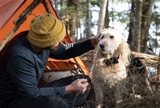 Escena de Aventura en manada