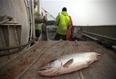 Escena de Bahía de Bristol