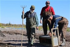 Escena de Beaver Brothers