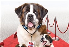 Escena de Beethoven 6: La gran oportunidad