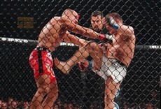 Escena de Bellator MMA