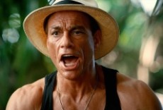 Bienvenido a la jungla