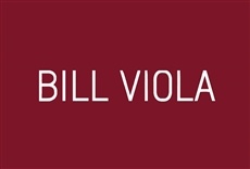 Serie Bill Viola - El camino a St. Paul