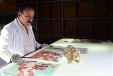 Escena de Bonampak, el último secreto maya