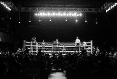 Escena de Boxeo Golden Boy