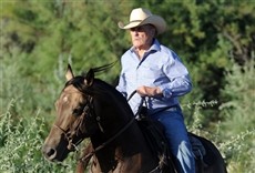 Escena de Caballos salvajes