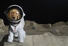 Película Space Buddies: Cachorros en el espacio