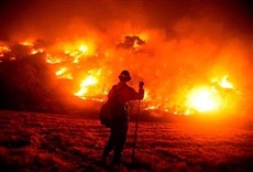 Serie Cal Fire: contra el fuego