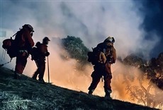 Escena de Cal Fire: contra el fuego