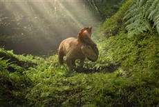 Escena de Caminando entre dinosaurios