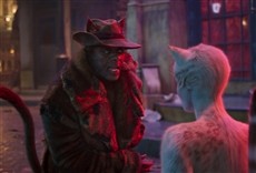 Escena de Cats