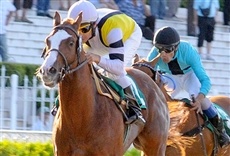 Escena de Centro deportivo turf