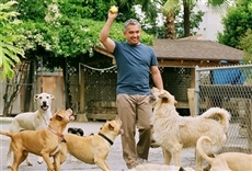 Escena de César 911