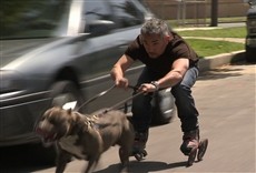 Escena de César Millán: amo a mi pitbull