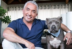 Escena de César Millán: nación canina