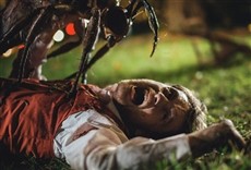 Escena de Cherry Tree