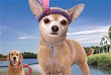 Película Chihuahua Too!