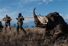 Escena de Ciencia al rescate