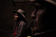 Escena de Cine en burro