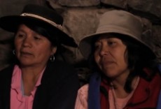 Televisión Cine en burro