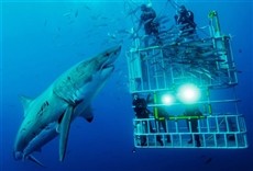 Escena de Círculo de la muerte