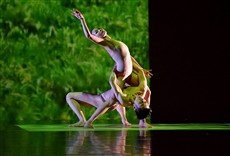 Escena de Cloud Gate Dance Theater - Rice