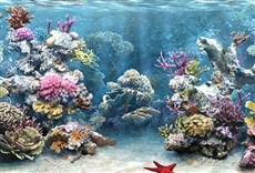 Escena de Con el agua al cuello: Al rescate