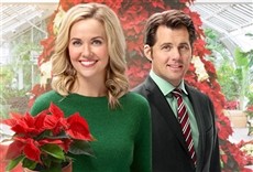 Escena de Corazones de Navidad