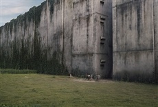 Escena de El corredor del laberinto