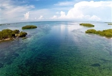 Escena de Cuba: arrecife secreto