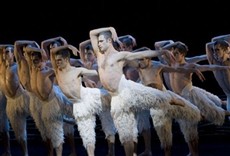 Serie Dance on Screen, una historia de la danza en la te