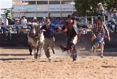 Escena de De tal padre tal hijo