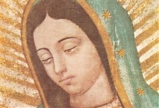 Serie Descubriendo a Santa María de Guadalupe